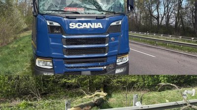 На Львівщині від негоди постраждала вантажівка