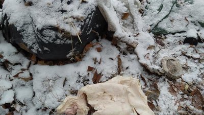 У Яворівському районні тваринні відходити викинули просто неба (ФОТО)