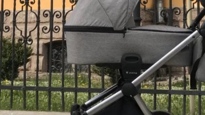 На Сумщині вуличний кіт задушив малюка