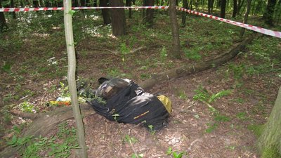 У лісі на Львівщині виявили тіло зниклого єгеря