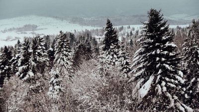 У Карпатах цілу ніч розшукували травмованого львів'янина