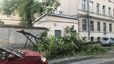 Садовий повідомив оперативну інформацію про ліквідацію наслідків негоди у Львові (ВІДЕО)
