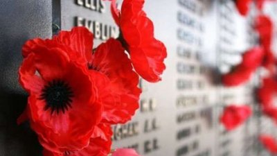 Червоний мак: що означає символ Дня пам'яті та примирення в Україні та світі