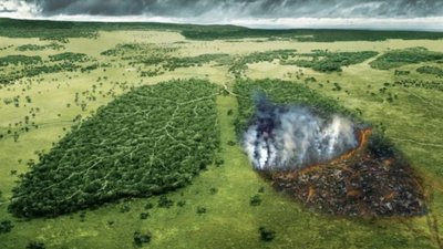 В Україні ліквідовують Міністерство екології: наслідки