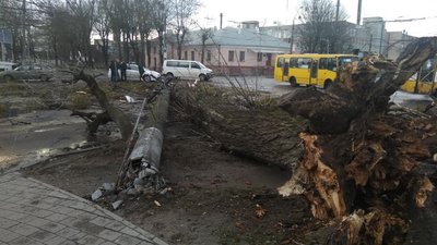 Львівщину накрив буревій: зламані дерева, зірвані дахи і пошматовані  дроти (ФОТО)