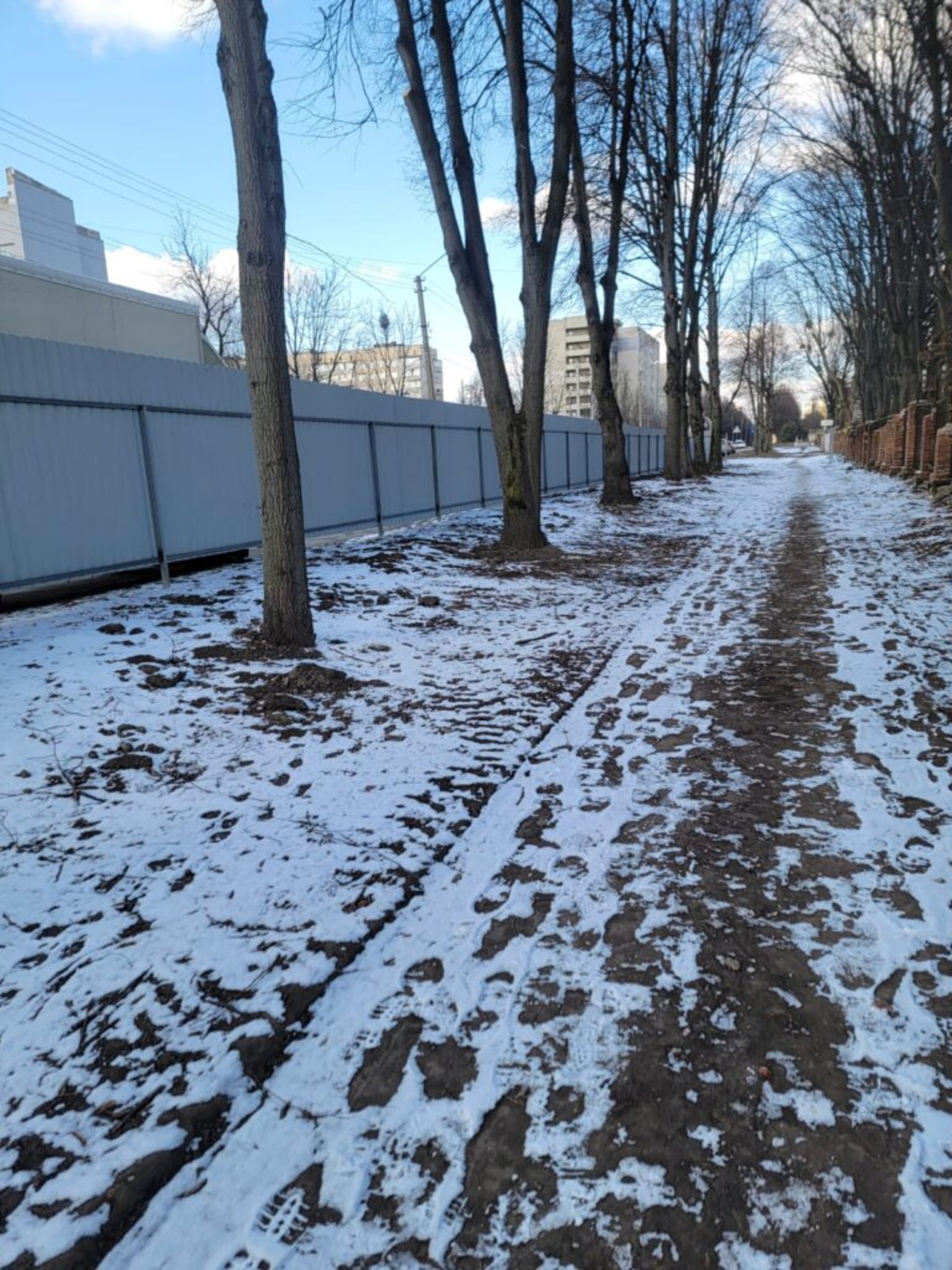 У Львові на місці скандального будівництва зрізали дерева, фото Четверта студія