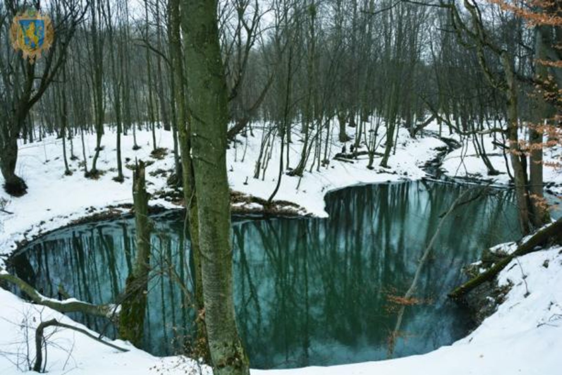 Фото: Львівська ОДА