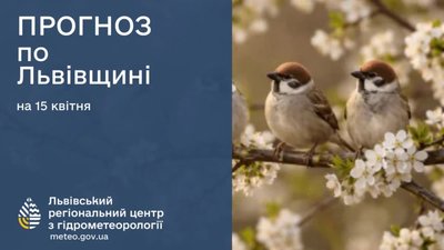 На Львівщині тривають заморозки