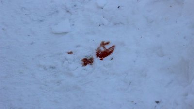 У Львові на вулиці Олени Кульчицької стріляли (ВІДЕО, ФОТО 18+)