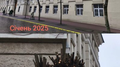 У центрі Львова знищують дерева