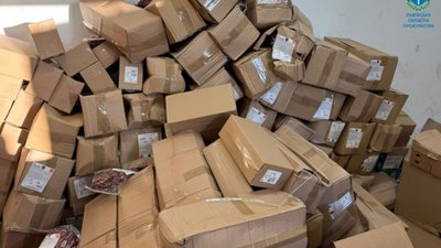 На Львівщині викрито масштабну контрабанду на понад 25 млн грн