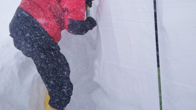 У Карпатах мете хуртовина, мороз сягнув -10° (ФОТО, ВІДЕО)