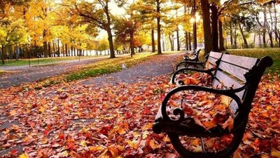 Сьогодні на Львівщині буде сонячно і без дощу (КАРТА)