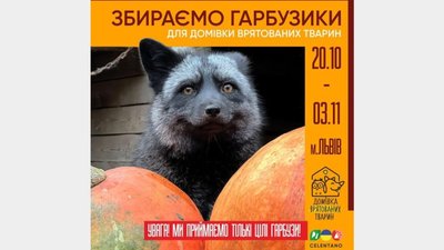 У Львові збирають гарбузи для Домівки врятованих тварин