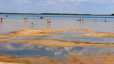 Полив плантацій лохини привів до обміління Шацьких озер