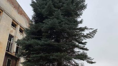 Фото дня: була на території «Кінескопу» ялинка і… вже немає