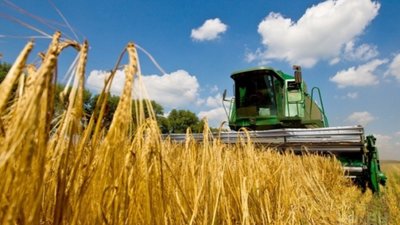 У Радехівському районі завершено збір озимого ячменю