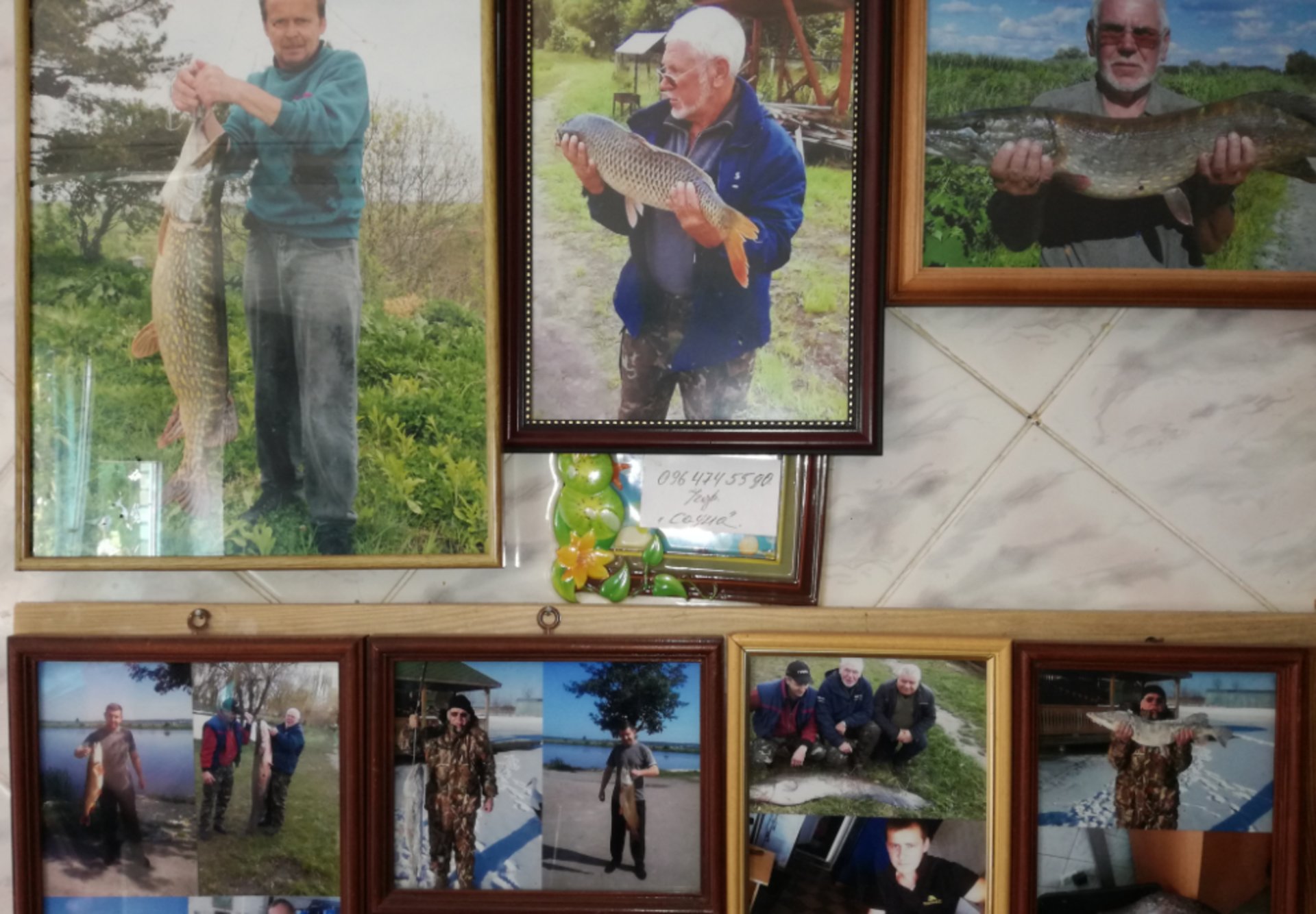 Фото "трофеїв" відвідувачів