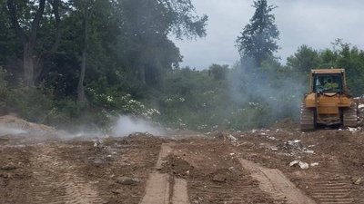 У Львові блискавка влучила в сухе дерево (ФОТО, ВІДЕО)