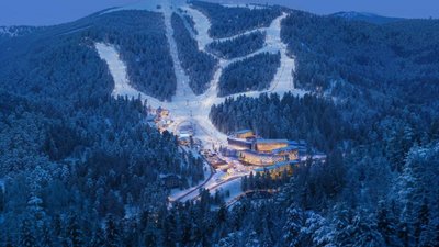 ОККО знищить понад 60 га карпатського лісу для будівництва курорту GORO Mountain Resort