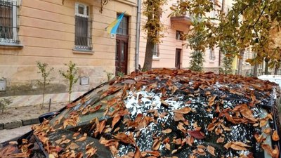У Львові осінь вкрила автомобіль