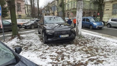 У Львові новенький електрокар запаркували між деревами (ФОТО)