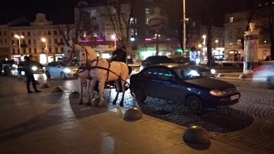 У центрі Львова п‘яний керманич кінної карети скоїв ДТП і втікав, наражаючи на небезпеку перехожих (ВІДЕО)