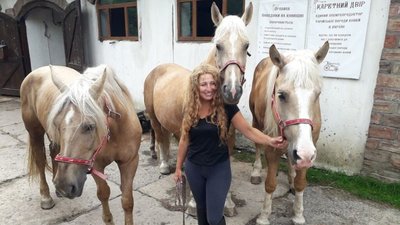 У Львові розводять рідкісну породу коней (ФОТО, ВІДЕО)