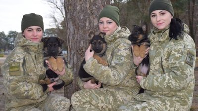 У лавах поліції Львівщини служать 22 собаки-кінологи (ФОТО)