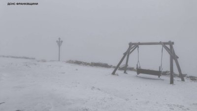 У Карпатах випало два сантиметри снігу