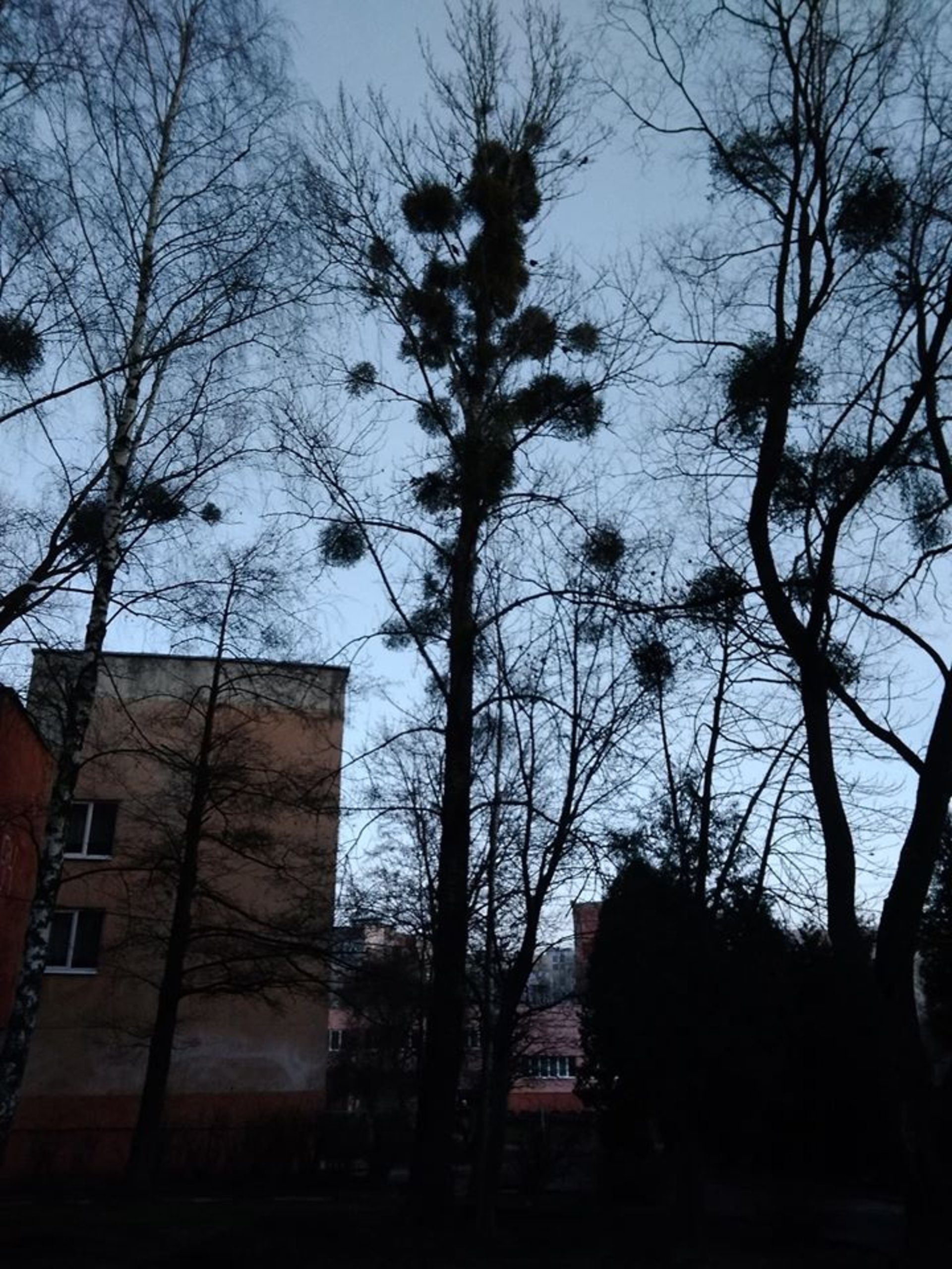 Фото: ФБ/Гаряча лінія міста Львова
