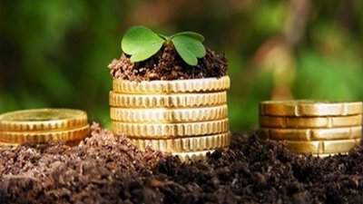 На Львівщині пропонують на продаж земельні ділянки, де можна вирощувати органічну продукцію