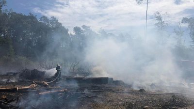 На Яворівщині сильна пожежа охопила ліс (ФОТО)
