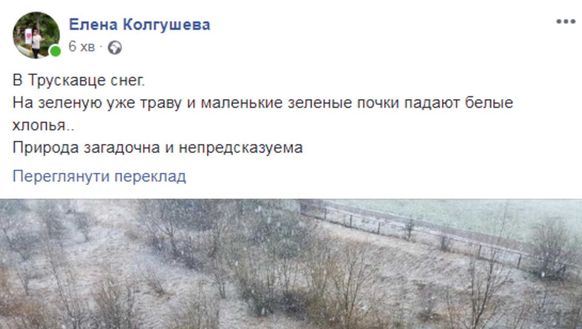 Скриншот ФБ/Олена Колгушева