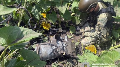 На Сокальщині виявили уламки російського безпілотника
