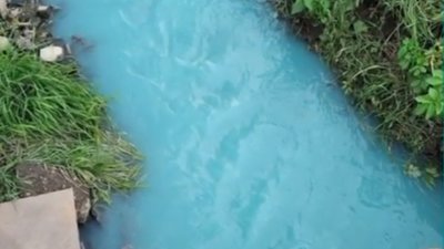 В Україні через фекалії посиніла річка (ВІДЕО)