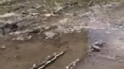 У Львові на Левандівці з'явилось нове "джерело"