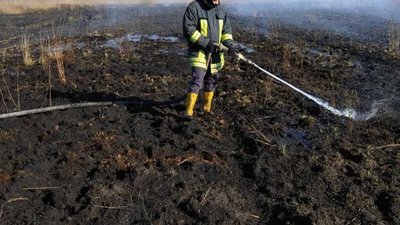 Як на Львівщині гасили торфовище (ФОТО)