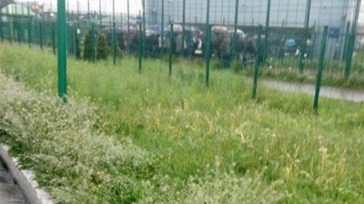 Прикордонники запобігли незаконному вивезенню дитини з України
