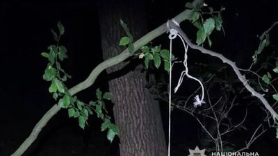 На Львівщині чоловік у лісі повісив сусідського собаку