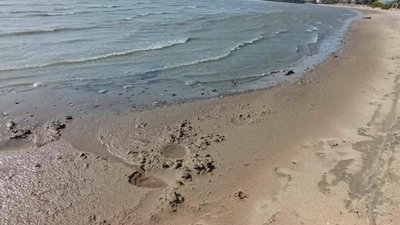 У Маріуполі море на 100 метрів відійшло від берега (ФОТО)