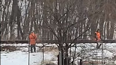 У Львові косарі працювали в снігопад (ВІДЕО)