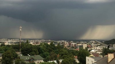 У Львові негода повалила дерева (ВІДЕО)