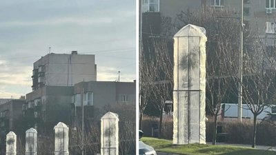 В Ужгороді на зиму утеплили пальми