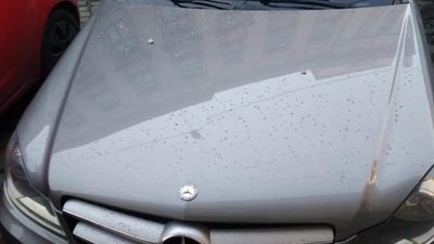 У Львові на авто з будинку впала цегла