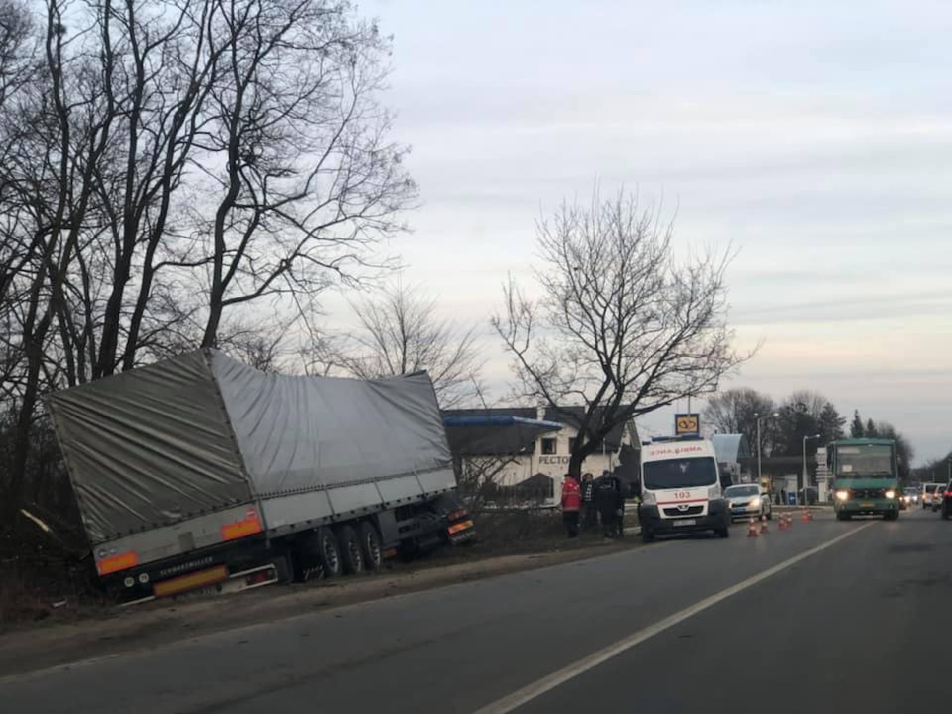 На Львівщині вантажівка влетіла у дерева. Фото Варта-1