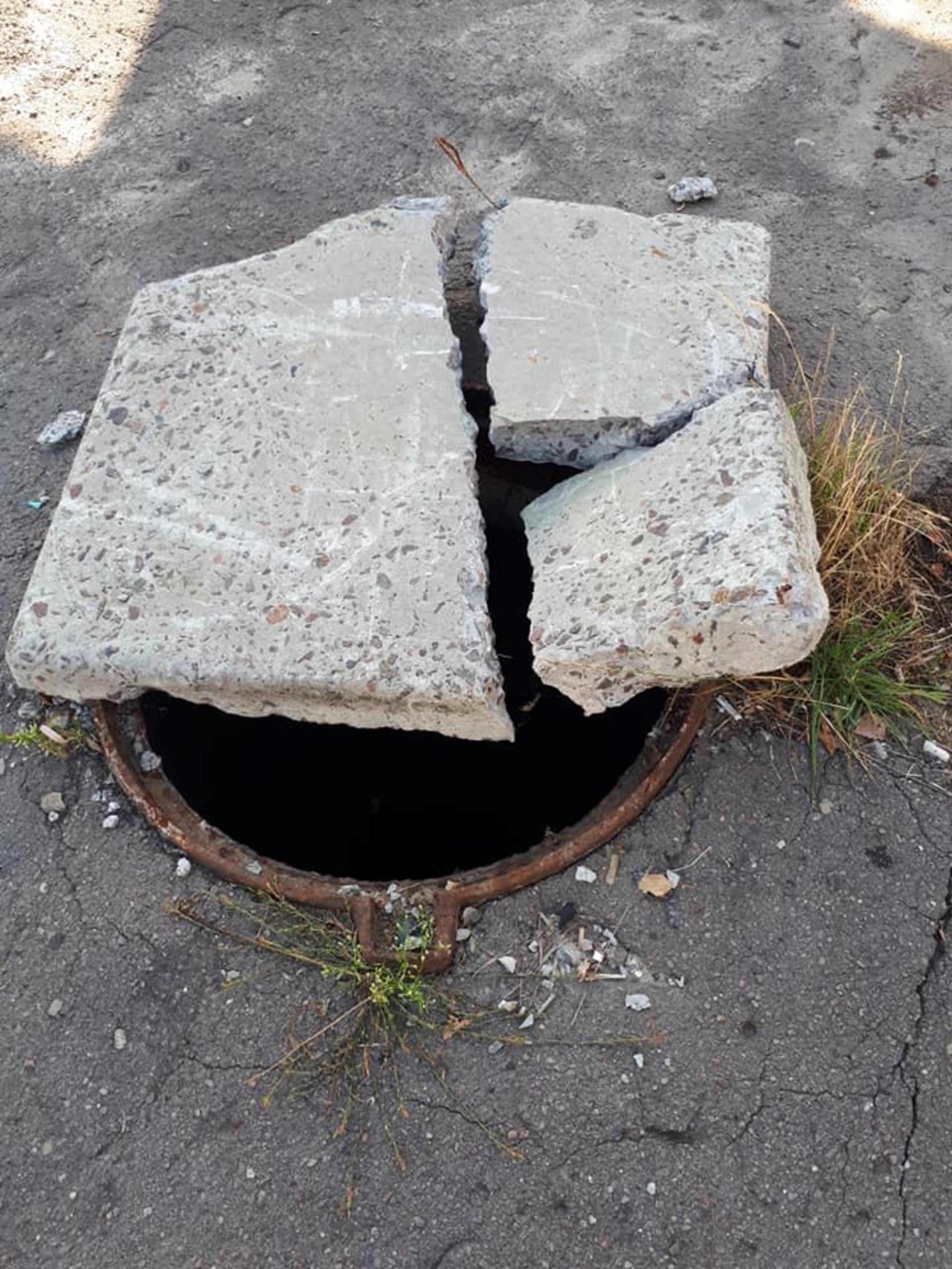 Фото: ФБ/Ольга Курилко