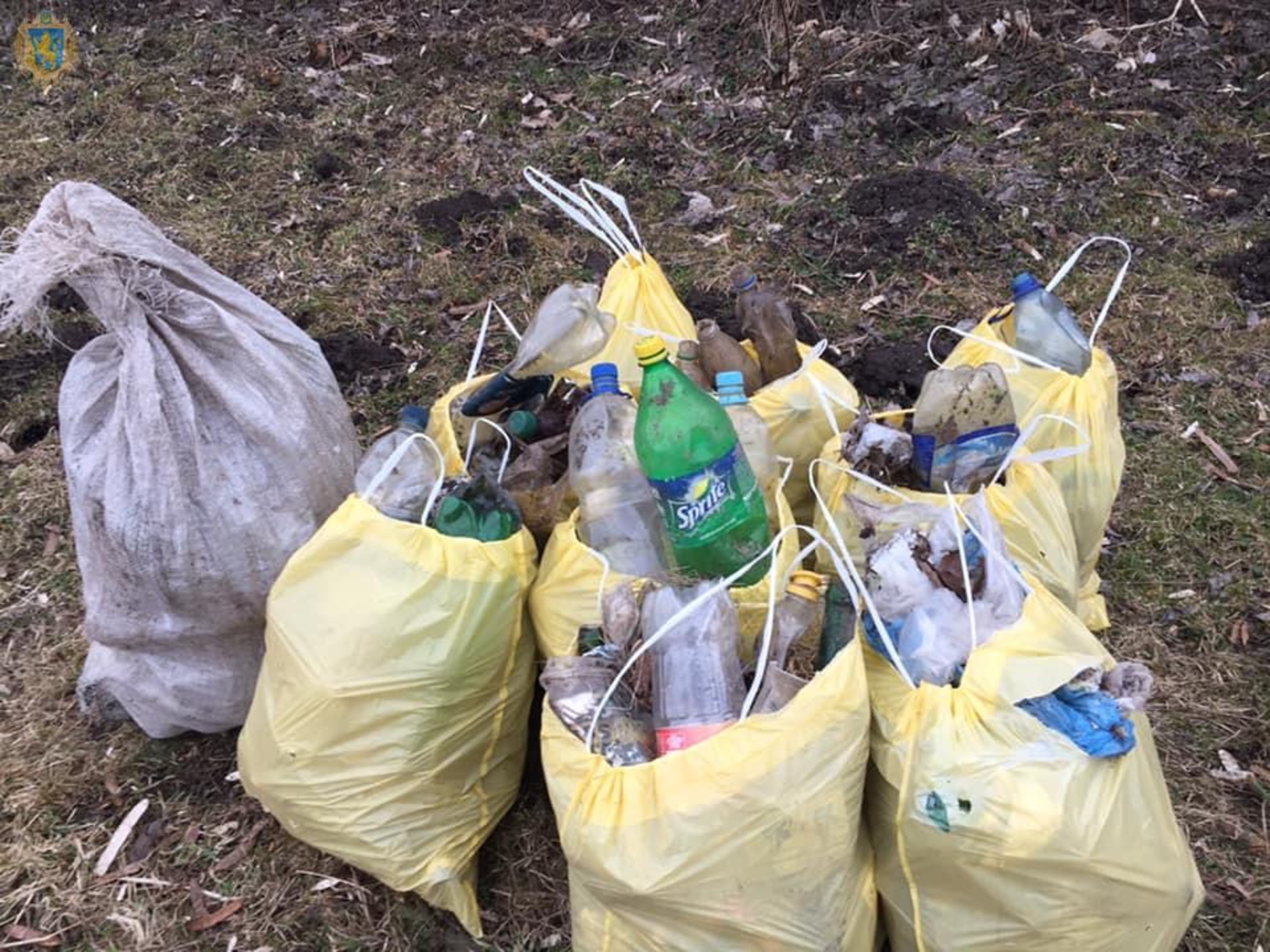 На Львівщині триває місячник озеленення та благоустрою