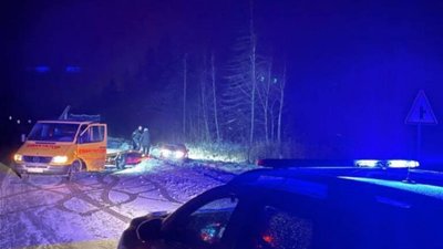 На трасі Київ - Чоп водій влетів у кювет через дику тварину (ФОТО)