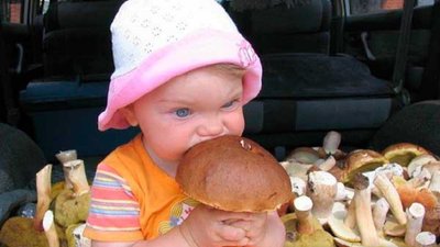 На Львівщині 10-річна дитина приготувала власноруч зібрані гриби і потрапила до лікарні